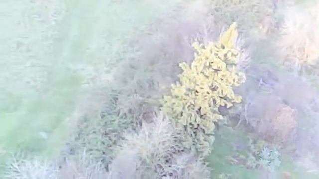petite vue en drone a la campagne ! ( première video de la chaine ) смотреть онлайн