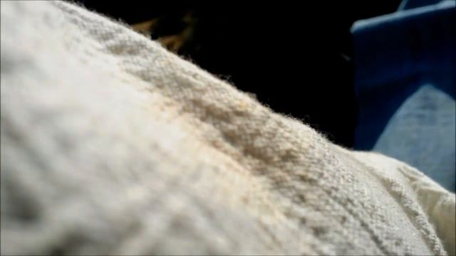 Пчеловодство.Пересадка пчёл в ноябре при минусовой температуре. Beekeeping