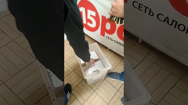 Транспортировка букета цветов в машине, на примере компании 15Роз смотреть онлайн