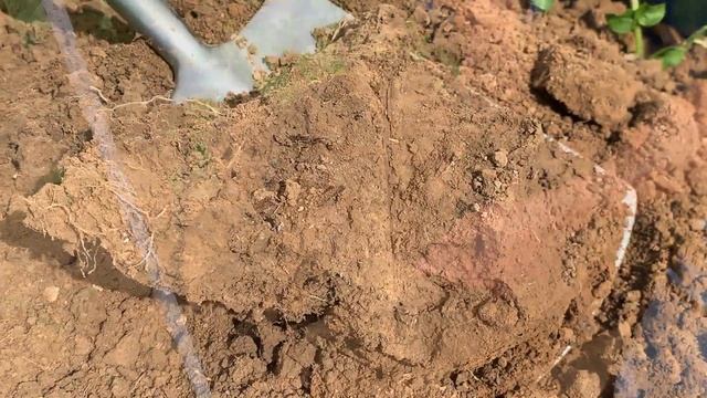 Wurzeltiefgang & Wasser - EUROPLANT смотреть онлайн