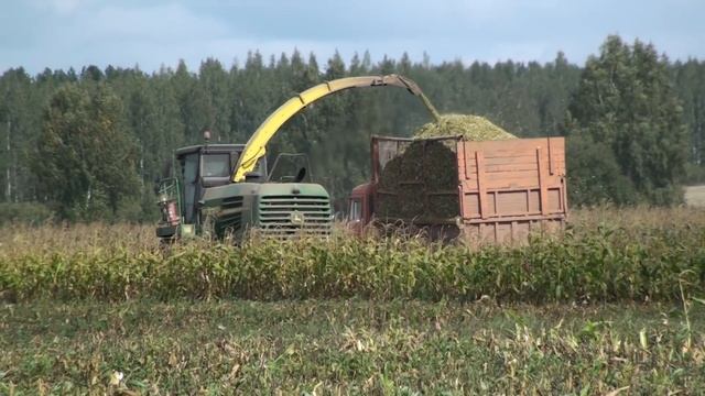 Уборка кукурузы на силос 2016. смотреть онлайн