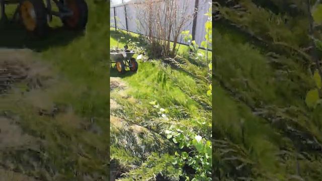 Домовладелец Pro