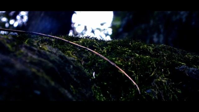 Fuji HS20 - Short FIlm - Forgotten Future смотреть онлайн