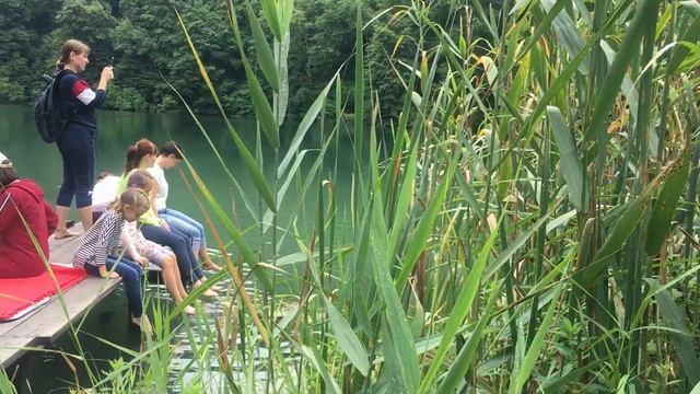 Что такое жизнь. Отчет. Ахметовская 2019 г. смотреть онлайн