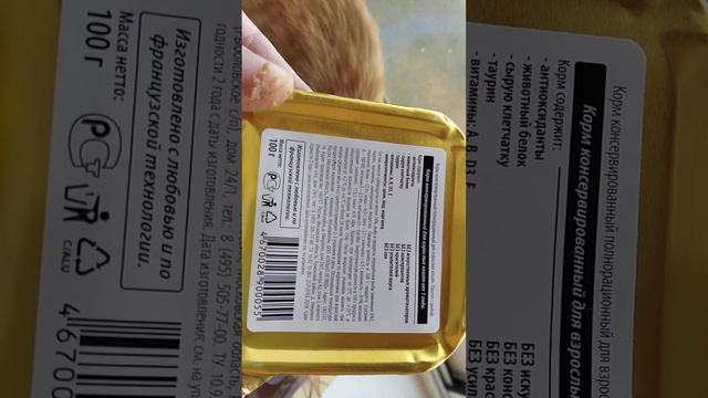 Паштет с рыбой для кошек смотреть онлайн