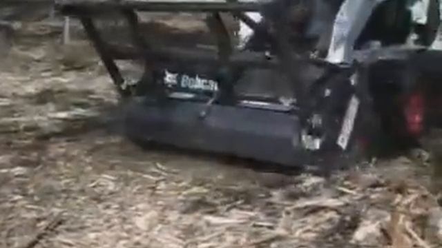 Кусторез смотреть онлайн