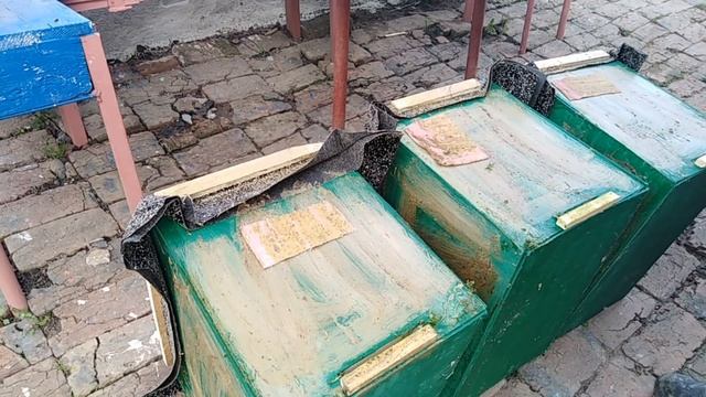 Гдеставить ловушки / Расставляем ловушки/ Как поймать рой пчел/ Лайфхак для роелова. Роеловство 202 смотреть онлайн