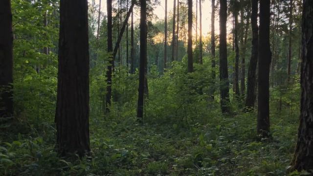 Сон... смотреть онлайн