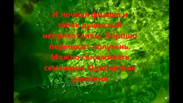 Создание клумбы "Цветочные или солнечные часы" смотреть онлайн