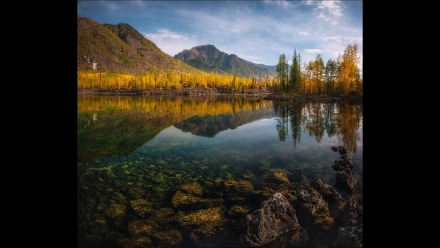 Угроза для питьевой воды. Сине-зеленые водоросли Температура воды в озерах выросла и теряет кислоро смотреть онлайн