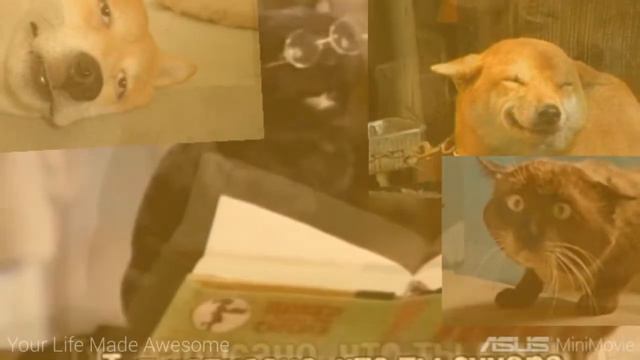 Тут написано что ты сучара))) смотреть онлайн