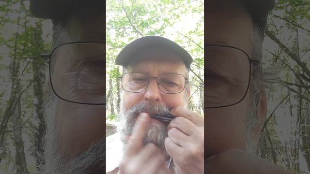 Варганим по-русски. Русская народная песня на мунхарпе Дмитрия Бабаева смотреть онлайн