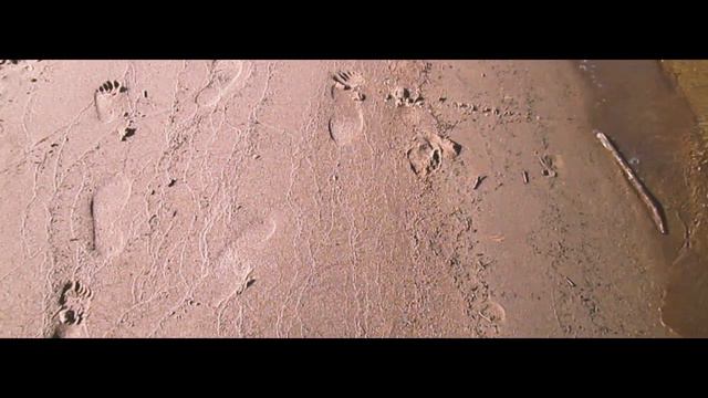 SUMMER 2016//ЧТО БЫЛО ЭТИМ ЛЕТОМ?! смотреть онлайн