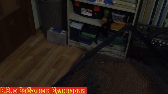 Хороший бюджетный надежный подсак для КАРПФИШИНГА GRFISH после 6 лет.Карповый подсак GRFISH. смотреть онлайн