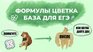 ФОРМУЛЫ И ДИАГРАММЫ ЦВЕТКА ДЛЯ ЕГЭ ПО БИОЛОГИИ
