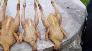 Вес кур в 3,5 месяца. Голошейка и Редбро (непотрошеная)???