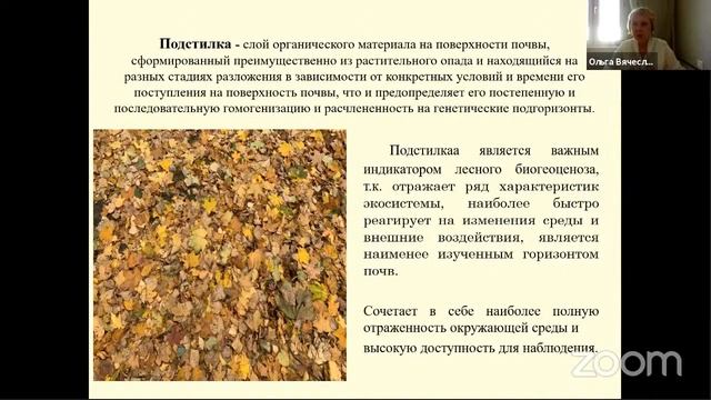 Вебинар "Экология и проблемы охраны окружающей среды" 23 октября в 14.00 смотреть онлайн