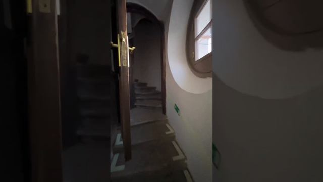 Смотровая площадка на Невском проспекте. смотреть онлайн