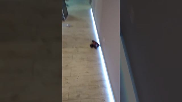 Подсветка в плинтусе смотреть онлайн