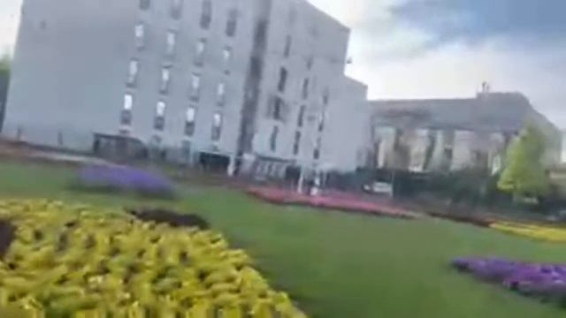 Пришли в парк и тут нет покоя … смотреть онлайн