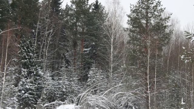 Саваслейка Рождество Христово смотреть онлайн