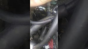 Рено логан плохо заводится на холодную.пречина