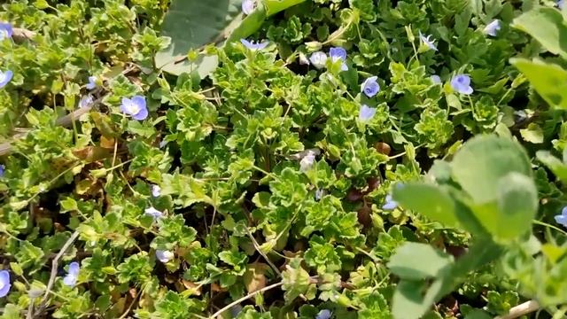 Новая сила Вагнера Утренняя сводка на 26 03 2023 смотреть онлайн