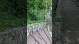 Зелёный Гай Azimut, Дедеркой, Туапсинский район 2023.