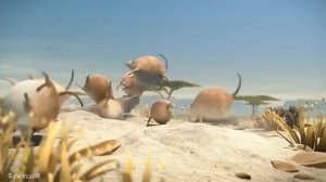 Если бы животные были круглыми? 2018 Приколы