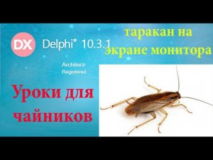 урок на делфи 22 - Таракан бегает по экрану