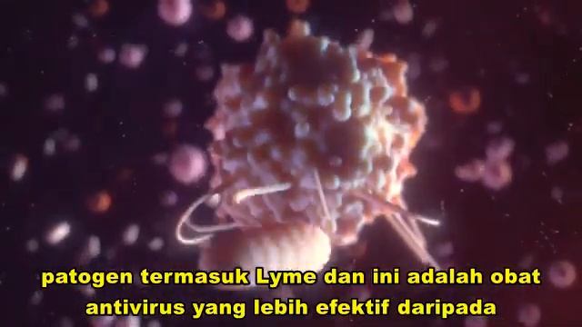 CORDYCEPS MENURUNKAN KOLESTEROL LDL (9 VIDEO) смотреть онлайн