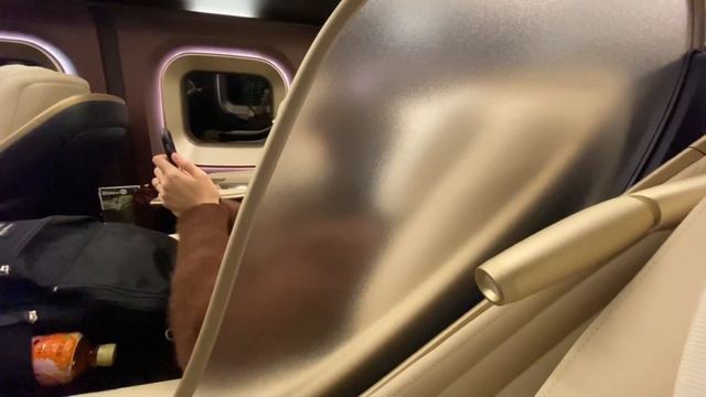 First Class on Bullet Train Shinkansen 🇯🇵 | "Gran Class" | Tokyo - Nagano смотреть онлайн