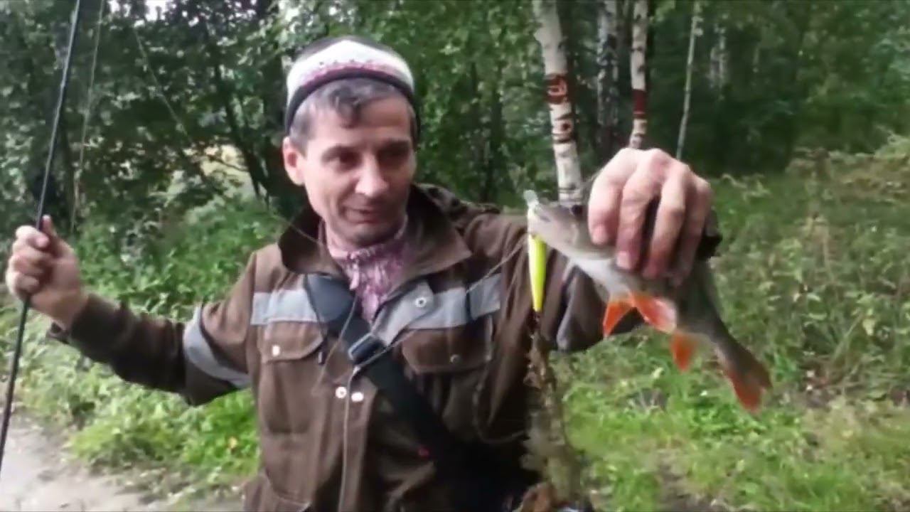 Эти окуни, реальные кабаны смотреть онлайн