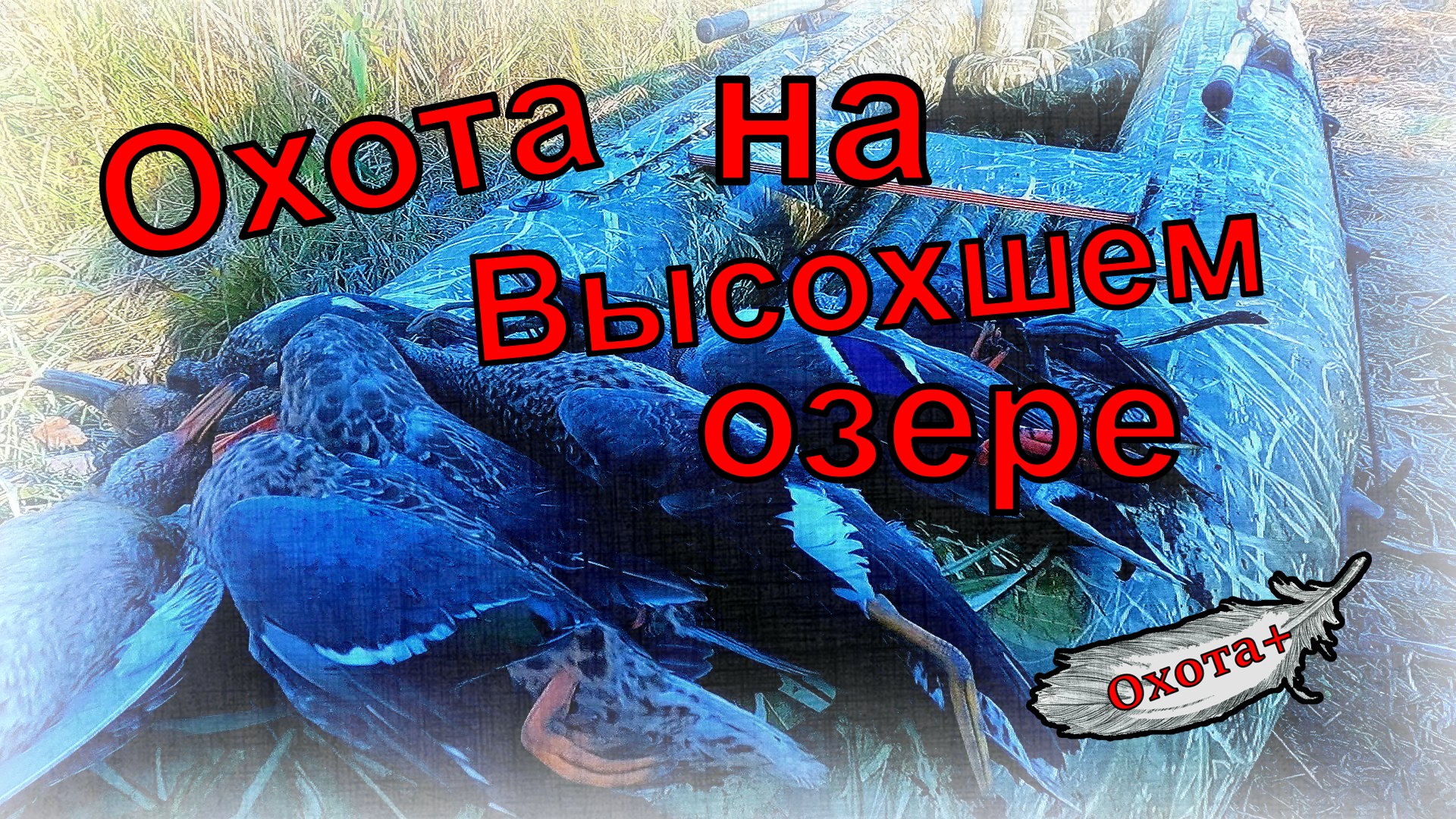 Охота на высохшем озере, осень 2023 использую чоки джемени 0,76 и 0,38, ружье импала плюс смотреть онлайн