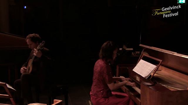 Captivating Kaleidoscope | Anton Diabelli - Grande Sonate Brillante in D Minor OP 102 смотреть онлайн