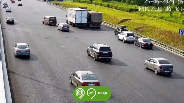 Массовую аварию на МКАД из-за утиного выводка сняли камеры наблюдения в Москве