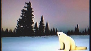 перевод белого медведя из 2026 года