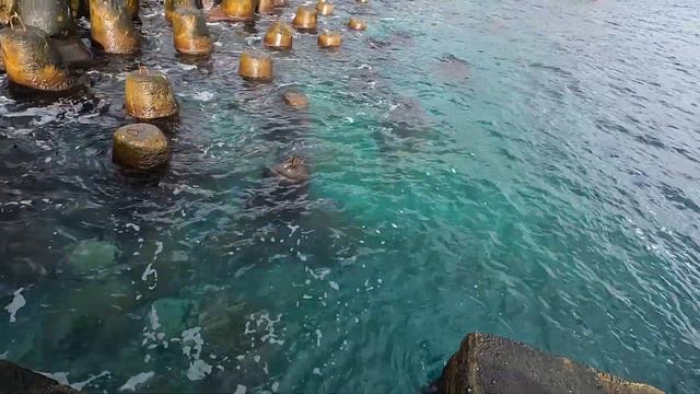 🔴Попробовал Ловить на Новую Оснастку. Сарган Жадно Брал. Морская Зимняя Рыбалка в Крыму. смотреть онлайн