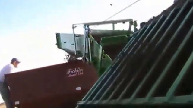 Уборка ризом Мискантуса смотреть онлайн