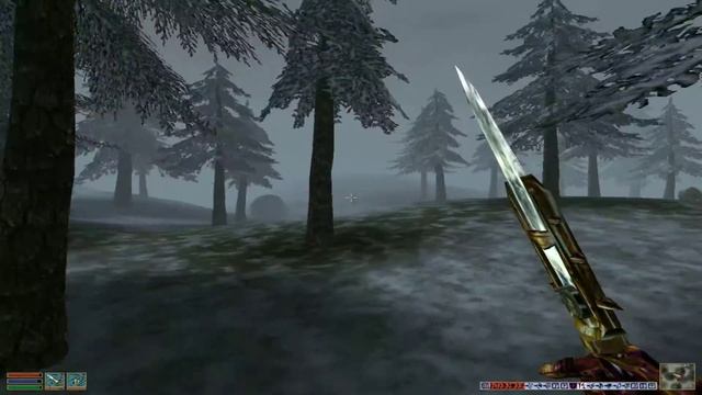 The Elder Scrolls III: Bloodmoon - №24 Обряд Земли