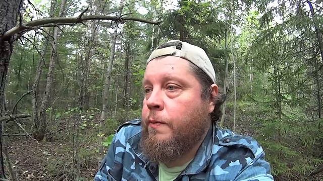 Ужин в Лесу. Печеная Картошка с Салом и Чай с Конфетками. смотреть онлайн