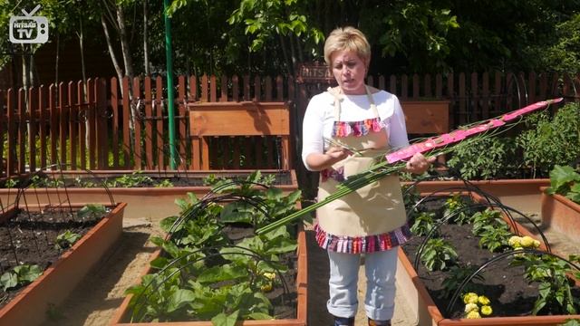 Какие опоры для цветов выбрать? ? Обзор эксперта HitsadTV