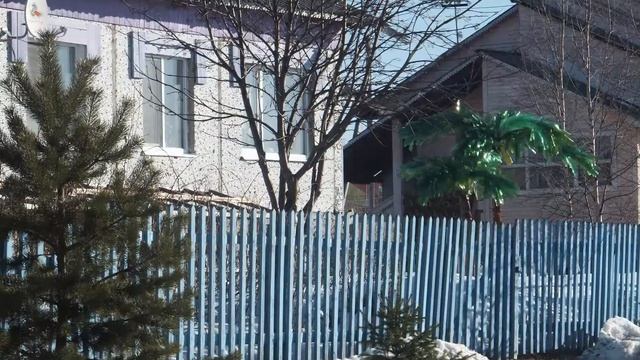 От Холмогор до Ломоносова смотреть онлайн