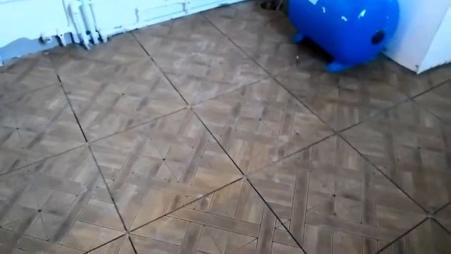 Дизайн и укладка плитки смотреть онлайн