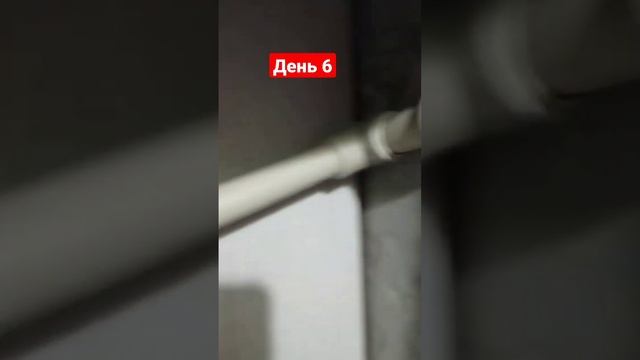 ремонт в с/у. день 6 смотреть онлайн