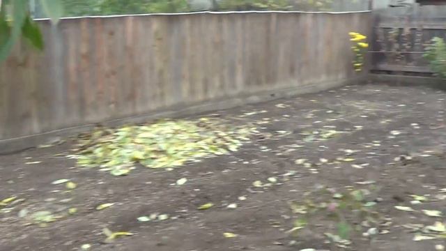 Наташа жрать не даёт! смотреть онлайн