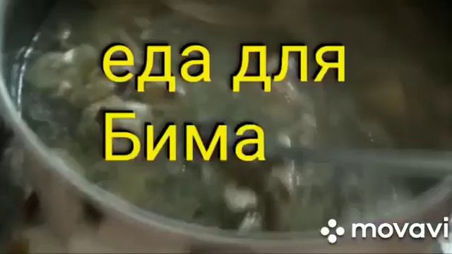 Животные у Колесниковых не приживаются!! смотреть онлайн