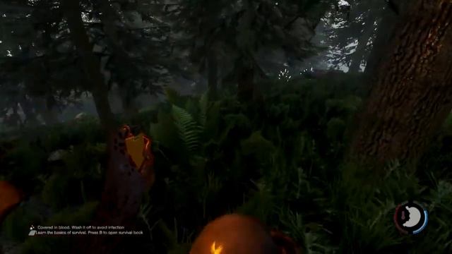 How To Correctly Survive in The Forest (The Forest Gameplay/Commentary) смотреть онлайн