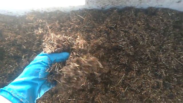 Как подготовить большой объем субстрат для червей. смотреть онлайн