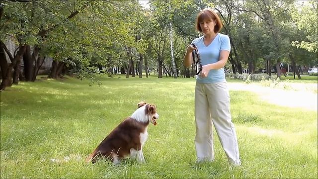 Шлейка корректирующая OSSO Fashion (инструкция).wmv смотреть онлайн